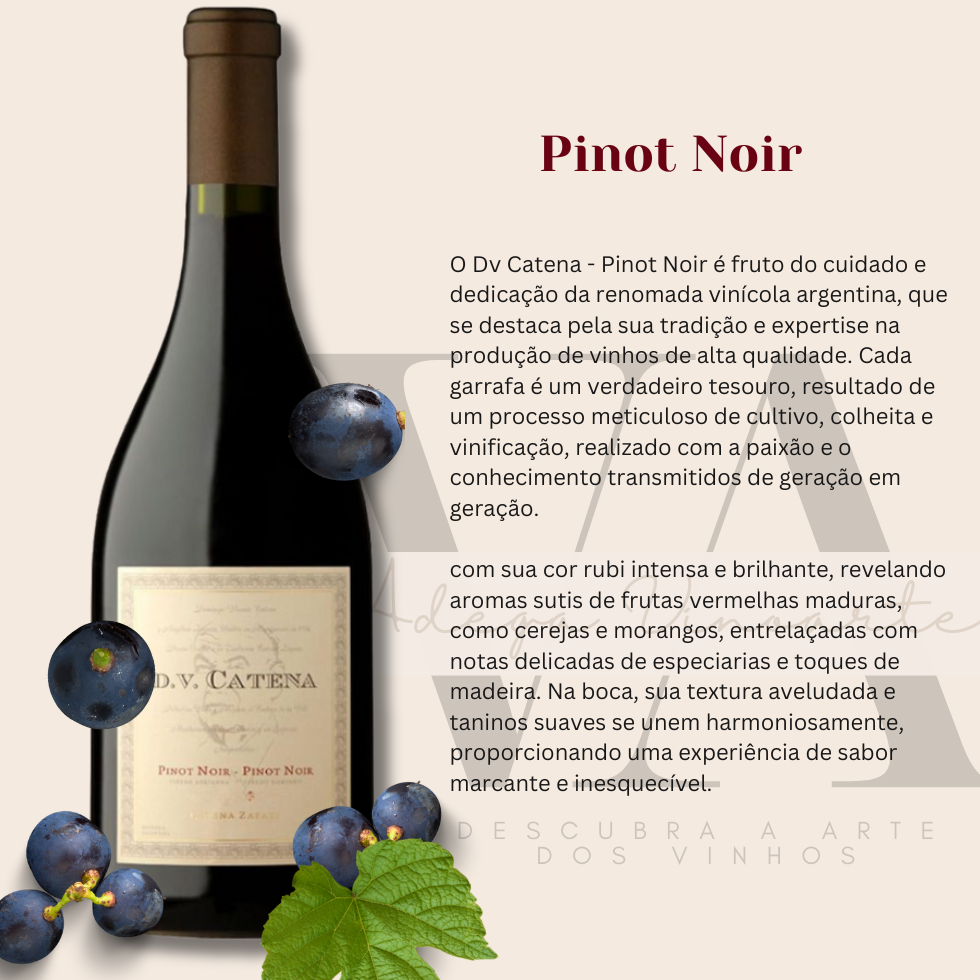 Dv Catena Pinot Noir