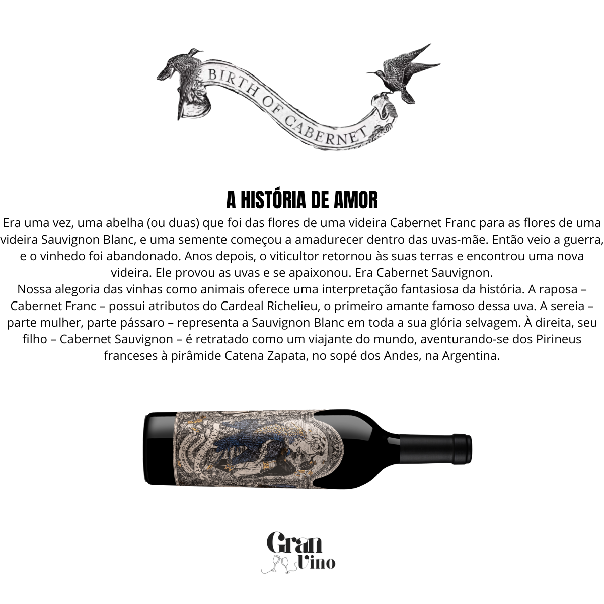 Catena Zapata Birth of Cabernet