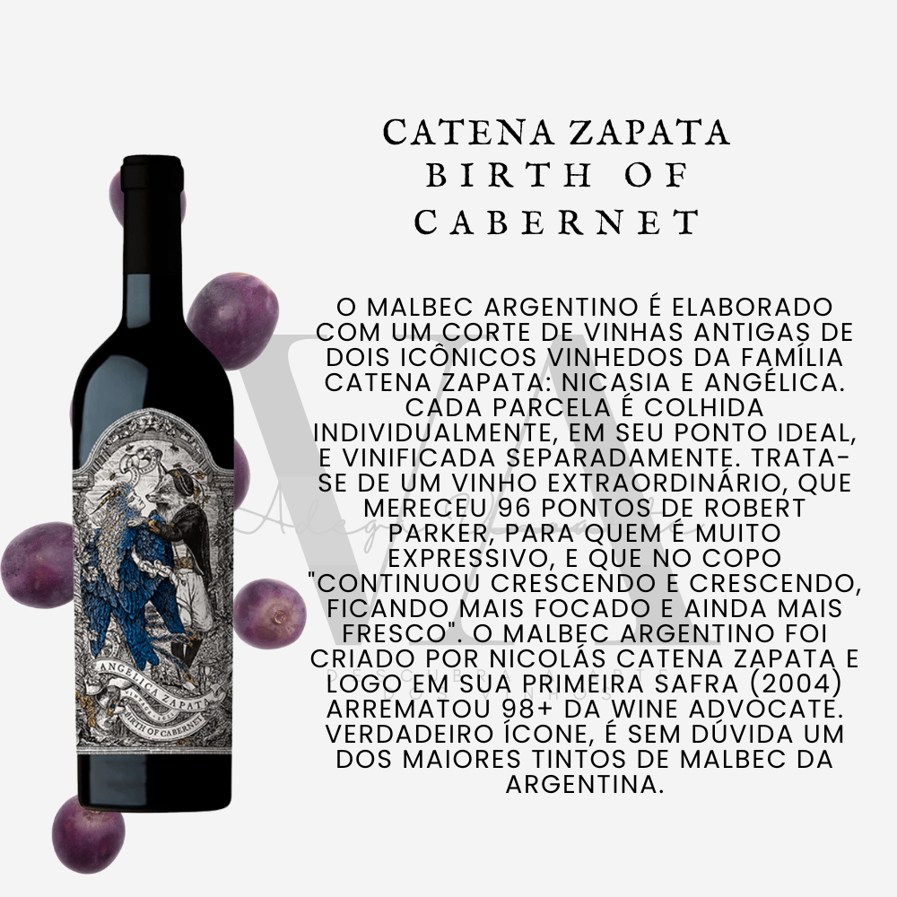 Catena Zapata Birth of Cabernet