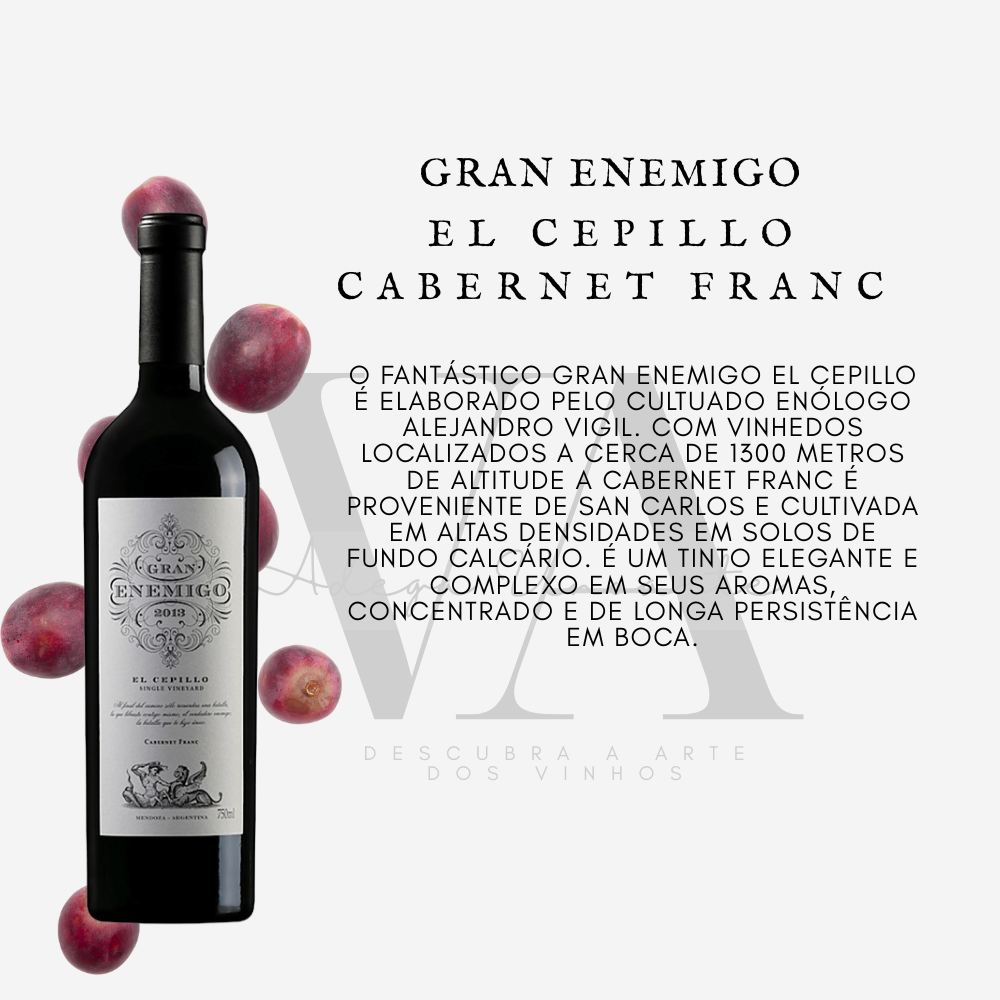 Gran Enemigo El Cepillo Cabernet Franc