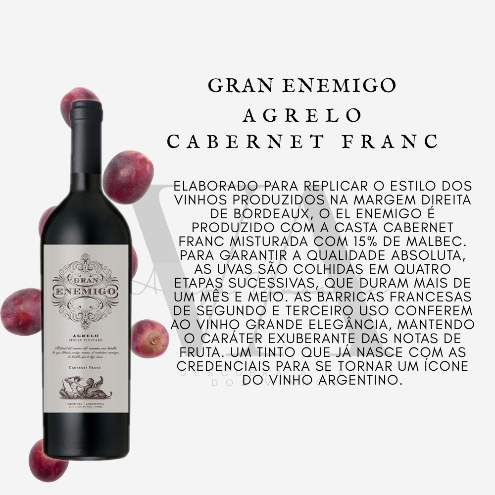 Gran Enemigo Agrelo Cabernet Franc