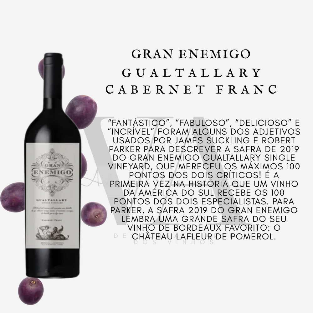 Gran Enemigo Gualtallary Cabernet franc