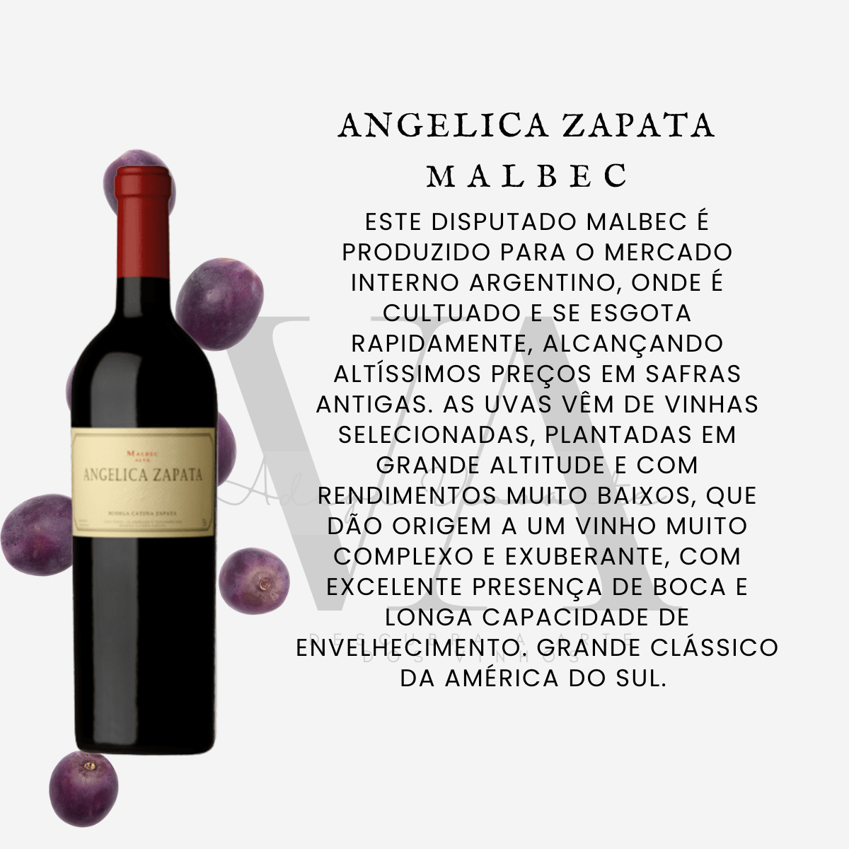 Angelica Zapata Malbec