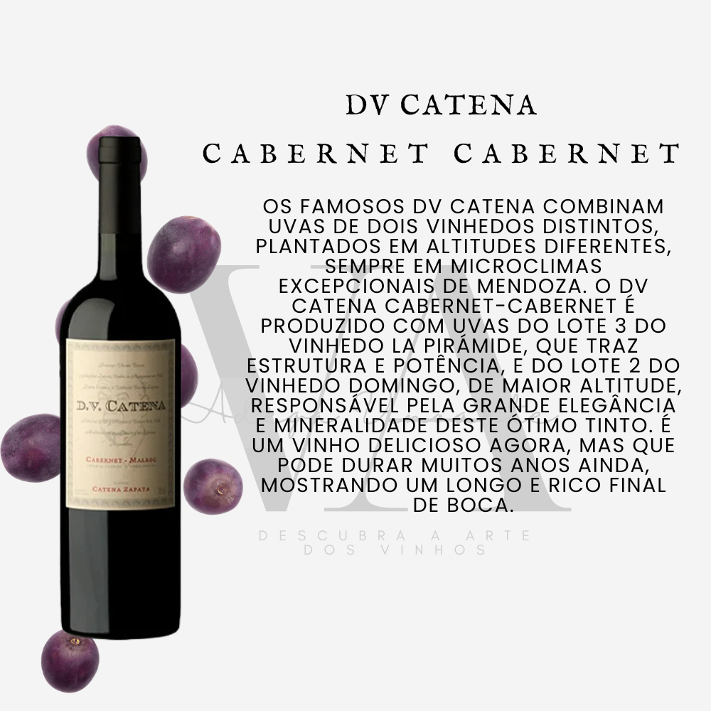 Dv Catena Cabernet-Cabernet
