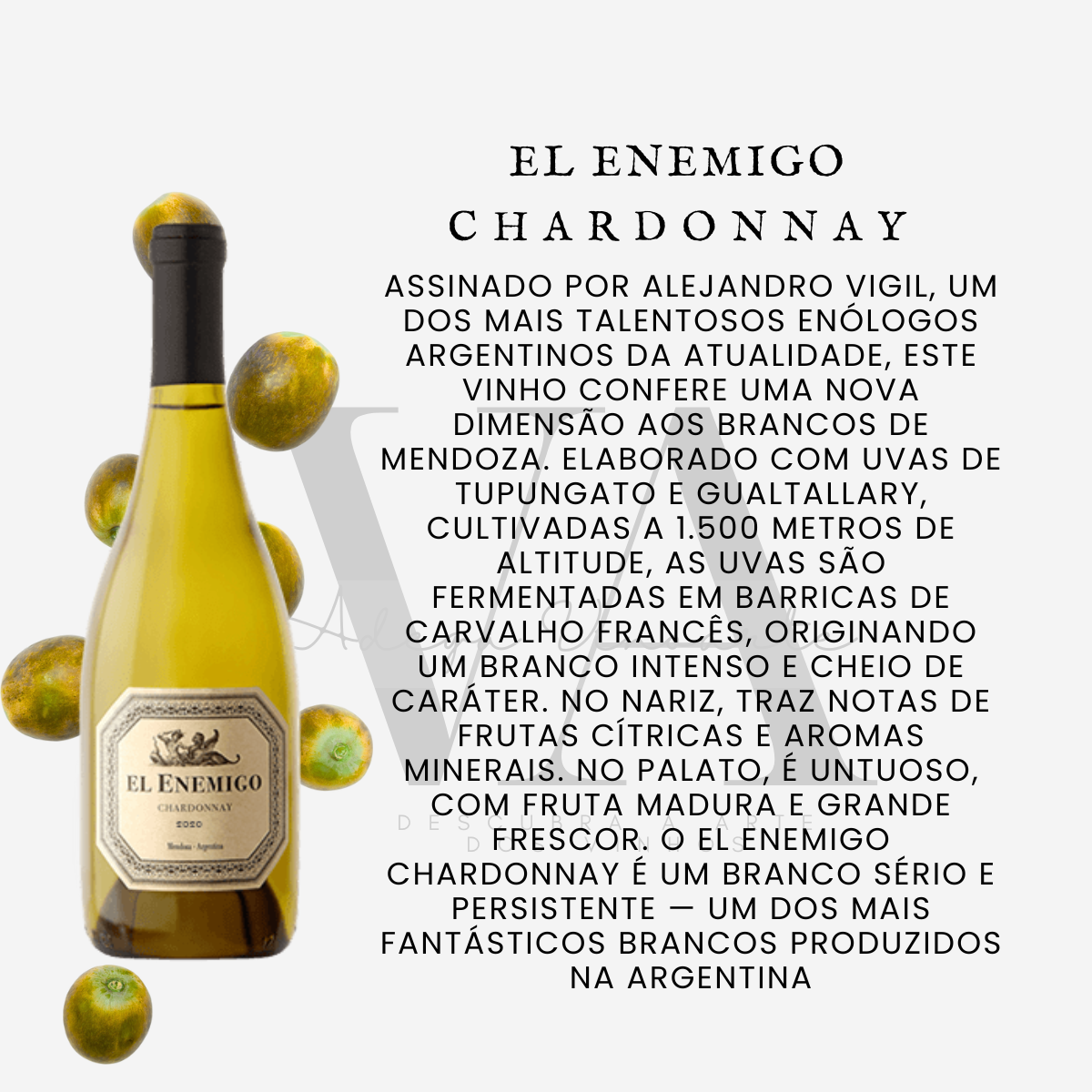 El Enemigo Chardonnay