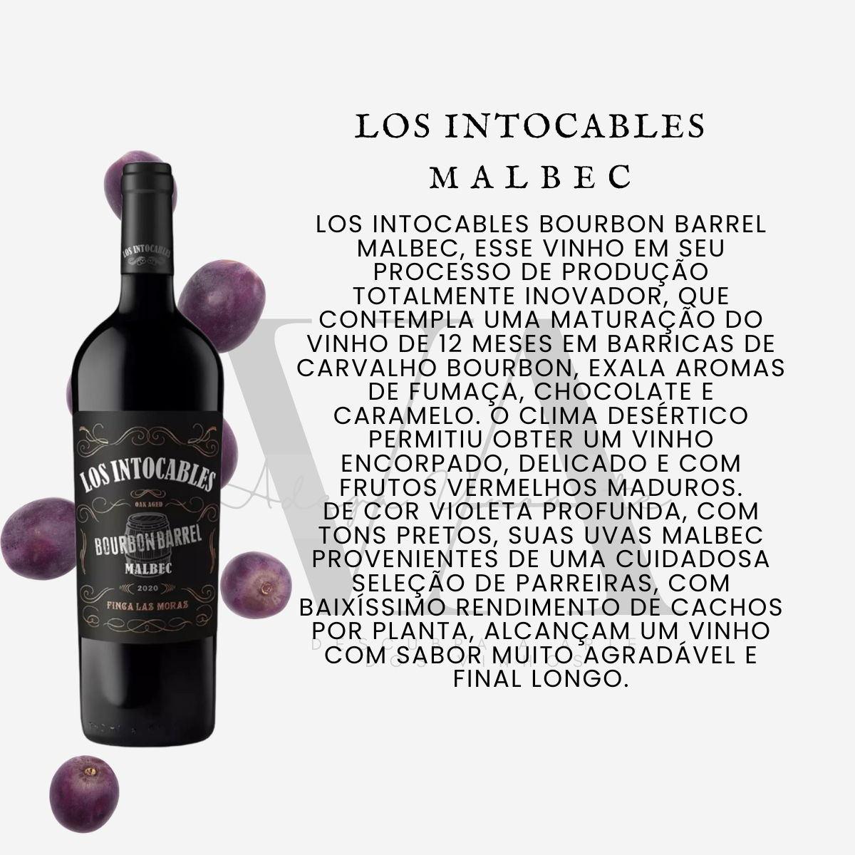 Los Intocables Malbec
