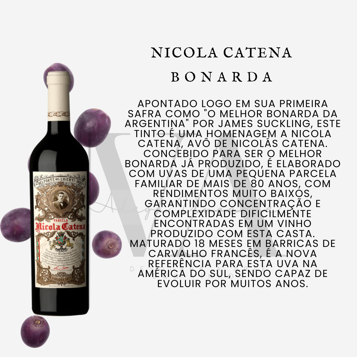 Nicola Catena Parcela Bonarda