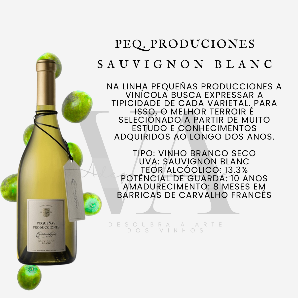 Pequenas Producciones Sauvignon Blanc